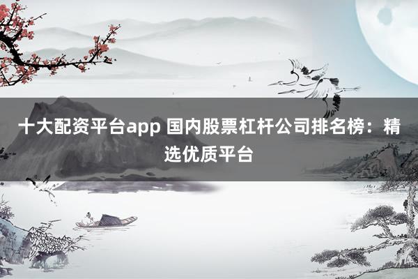十大配资平台app 国内股票杠杆公司排名榜：精选优质平台