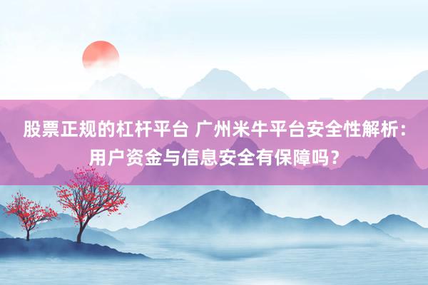 股票正规的杠杆平台 广州米牛平台安全性解析：用户资金与信息安全有保障吗？