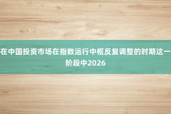 在中国投资市场在指数运行中枢反复调整的时期这一阶段中2026