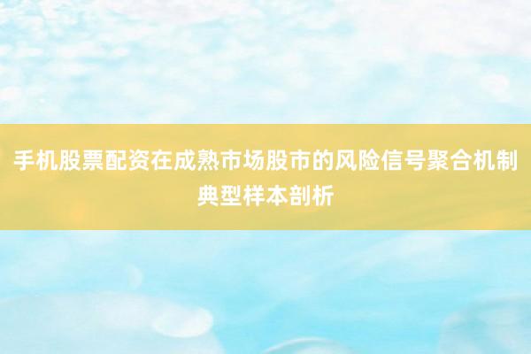 手机股票配资在成熟市场股市的风险信号聚合机制典型样本剖析