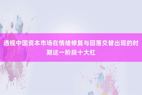 透视中国资本市场在情绪修复与回落交替出现的时期这一阶段十大杠