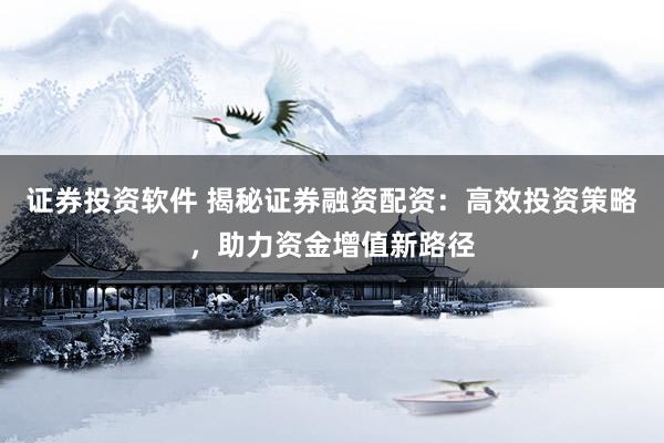 证券投资软件 揭秘证券融资配资：高效投资策略，助力资金增值新路径