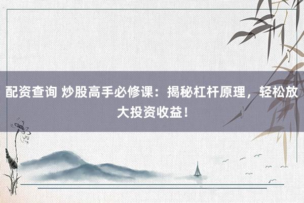 配资查询 炒股高手必修课：揭秘杠杆原理，轻松放大投资收益！