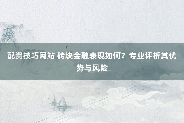配资技巧网站 砖块金融表现如何？专业评析其优势与风险