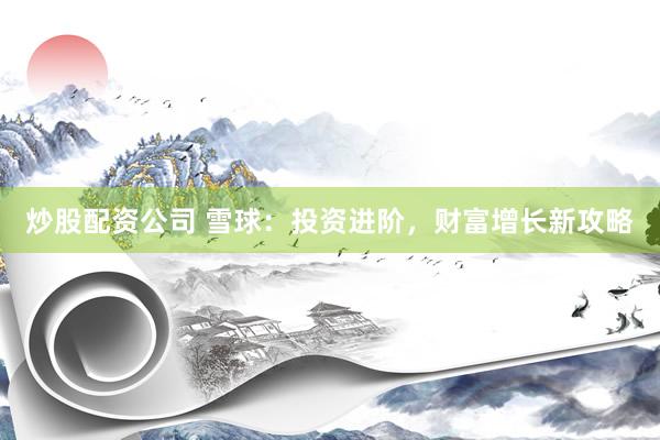 炒股配资公司 雪球：投资进阶，财富增长新攻略